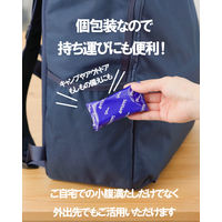 おからだから チョコチップ 1セット（1個（2袋入）×10） 栄養調整食品 グリコ