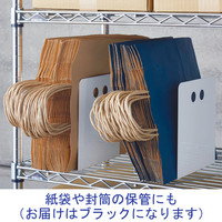 アール・エフ・ヤマカワ　スタンドアイ　ブックスタンド　ブラック　RFBS-SEMBK　2個