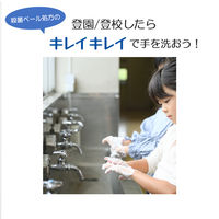 キレイキレイ　薬用泡ハンドソープ　フルーツミックスの香り　本体550mL　【泡ハンドソープ】　ライオン