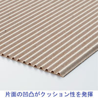 「現場のチカラ」 巻きダンボール 幅1000mm×長さ25m巻 T2 1×25 1セット（9巻：1巻×9） タナックス  オリジナル