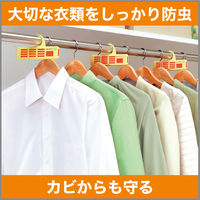 ムシューダ1年間有効　クローゼット用　1箱（3個入）