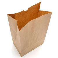 ササガワ ギフトバッグ 角底袋 未晒 超特大 50-3801 1袋(100枚入)