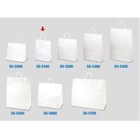 ササガワ 手提げバッグ 白無地 小 50-5100 1袋(50枚入)