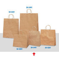 ササガワ 手提げバッグ 未晒 小 50-5101 1袋(50枚入)