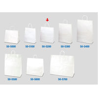 ササガワ 手提げバッグ 白無地 中 50-5200 1袋(50枚入)