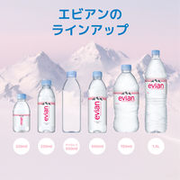 evian(エビアン) 伊藤園 750ml 1セット（24本）【正規輸入品】【硬水】【ミネラルウォーター】
