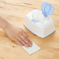 ウェットティッシュ　除菌シート　ボックス　ノンアルコール除菌タイプウェット　本体　1個（100枚入）　伊藤忠リーテイルリンク