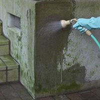 エクステリア 藻・コケ・カビ落し 500mL 1個 日本ミラコン産業