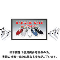 三菱電機 24Vインチ カンタンサイネージ 液晶テレビ ブラック DSM-24L7X