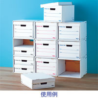 フェローズ バンカーズボックス　743ボックス A4ハーフ 1007801 1箱（6枚入）