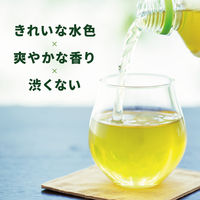 【機能性表示食品】伊藤園 お抹茶入りおーいお茶 緑茶 600ml 1セット（6本） お茶 ペットボトル