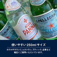モトックス サンペレグリノ 250ml 1セット（48本）