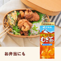 伊藤園 健康ミネラルむぎ茶（紙パック）250ml 1セット（48本）【麦茶】