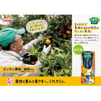 カゴメ 野菜生活100 鹿児島タンカンミックス 195ml 1セット（48本）