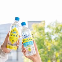 キリンレモン 500ml 1セット（48本）