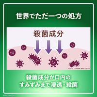 リステリン フレッシュミント 爽快 1000mL 1本 マウスウォッシュ 口臭対策 洗口液 医薬部外品