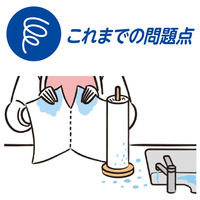 【ASKUL・LOHACO限定デザイン】エリエール　ラクらクック　キッチンペーパー　1箱（30パック入）　 大王製紙 限定　ソフトパック 限定