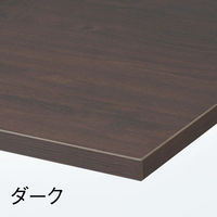 イトーキ サリダLFデスク フリーアドレスデスク 引出し無し ダーク 幅6000×奥行1400×高さ720mm 1台（15梱包）