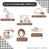 サニテート Aハンドミスト デザインボトル 消毒液 手指 アルコール消毒液 本体 300mL 1箱(8本) ライオン 業務用  限定