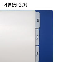 プラス レセプト用４～３月インデックス ６山×２ 98080 1袋(10組入) 事務用品 月別 A4 印刷済 ポリプロピレン製