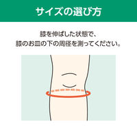 アルケア　シュラッテルバンド　19851