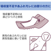 アテント 大人用おむつ 両面吸収すきまにピッタリシート  3回  45枚:（1パック×45枚入）エリエール 大王製紙