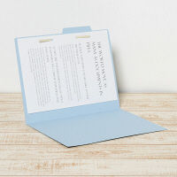 プラス 個別フォルダー A4 ロイヤルブルー 青 1箱（100枚） FL-061IF 87061