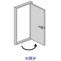 【軒先渡し】サンテック　CFパネル ドア（右開き） 高さ1869mm用 CF-D0919R（直送品）