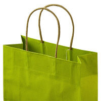 レザートーン手提袋　丸紐　グラスグリーン　M　1箱（300枚：10枚入×30袋）　スーパーバッグ  オリジナル