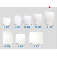 ササガワ 手提げバッグ 白無地 特大 50-6400 1袋(10枚入)