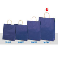 ササガワ 手提げバッグ マリン 特大 50-6407 1袋(10枚入)