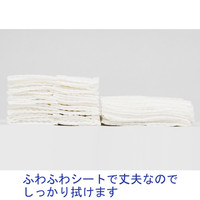 トイレクリーナー　小判・薄手タイプ　ミントの香り　1パック（24枚入×2個）