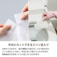 大王製紙 トイレのおそうじシート オレンジの香り 詰替用 1箱（24個入）（寄付金付き） オリジナル