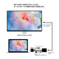 Vodaview　音声対応変換アダプタ　VGA（D-sub15ピン）[オス]・ステレオミニプラグ[オス]→HDMI[メス]　VV-VGAHDA-A-W-DO-S