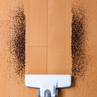 アイリスオーヤマ　サイクロンクリーナー　白　IC-C100-W（561962）