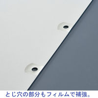 アスクル　ラミネートタブインデックス　2穴　12山　扉紙無　A4タテ　1箱（50組）  オリジナル