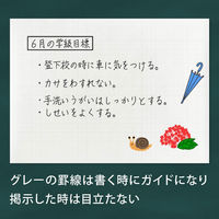 日本ノート　方眼入模造紙　ロールタイプ（30m巻）　白　XR30W　3本