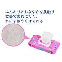 【おしりふき】【トイレに流せる】【大人用/流せる】ピジョンタヒラ ハビナース トイレに流せるパッとおしりふき 1個（72枚入）
