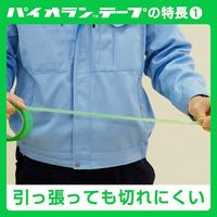 【養生テープ】ダイヤテックス パイオランテープ Y-09-GR 塗装・建築養生用 グリーン 幅50mm×長さ25m 1箱（30巻入）