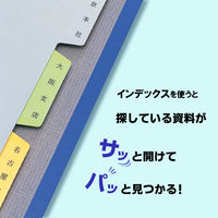 キングジム カラーインデックス A4タテ 5山 2穴 907　30組(10組入×3袋)