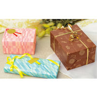 ササガワ 包装紙 ブリスB 半才判 49-1437 1包50枚入