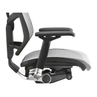 【軒先渡し】 エルゴヒューマン エンジョイ ロータイプ オフィスチェア メッシュ張り 肘付 ダークオレンジ(ブラウン) EJ-LAM 1脚（直送品）