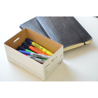 バンカーズボックスミニ　101　手書き白　フェローズジャパン　　外寸：幅105×奥行170×高さ75mm