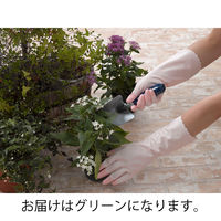 ファミリー ビニール手袋 中厚手 指先強化 炊事・掃除用 グリーン L 1双 エステー