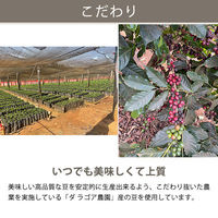 【レギュラーコーヒー粉】ダ ラゴア農園ブレンド 1袋（300g）関西アライドコーヒーロースターズ  オリジナル