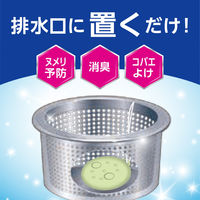 らくハピ キッチンの排水口 ヌメリがつかない 24時間除菌 排水溝 臭い・ぬめり対策 1セット（1個×3）アース製薬
