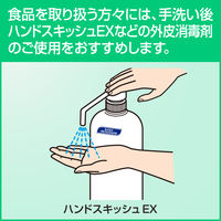 薬用花王ハンドソープ 4.5L 1個 花王