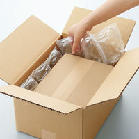 川上産業 エアピロM 大粒サイズ エアピロAMX2 1袋（約1000粒入）