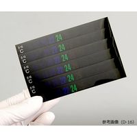 日油技研工業 デジタルサーモテープ(R)(可逆性) 30入 D-06 1箱(30枚) 1-628-04（直送品）