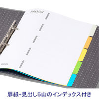 ハピラ 片開きパイプ式ファイル A4タテ とじ厚50mm グレー 1箱（36冊：12冊入×3箱）